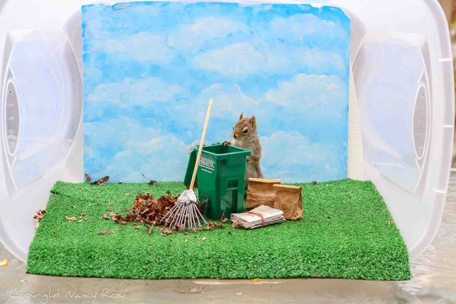 Squirrel exploring a miniature scene