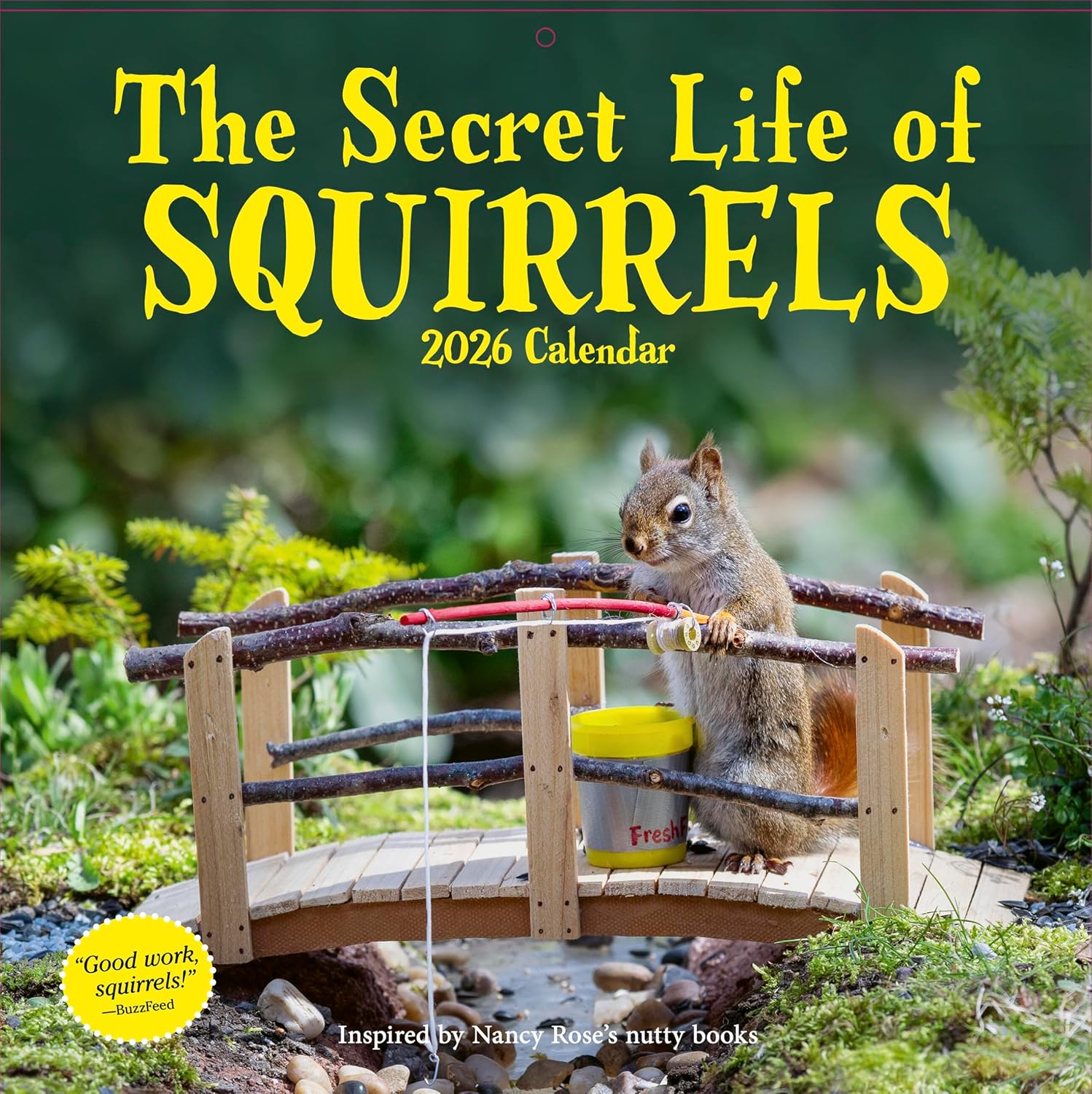 Secret Life Of Squirrels 2026 Wall Calendar cover